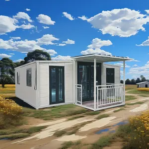 Klaar Voor Verkoop Groothandel China Mobiele 20ft In Pakistan Grote Huis Huizen Moderne Kleine Prefab Huizen Containerhuis