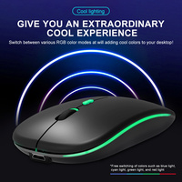 Souris LED Sans Fil 2,4 G Ergonomique USB pour Bureau et Gaming Compatible Mac, Ordinateur Portable et Windows, DPI Réglable 800-1600