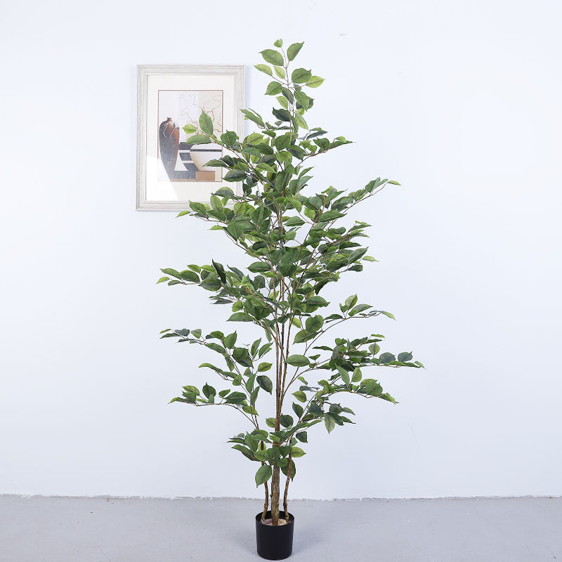 สีเขียวเข้ม 150 ซม