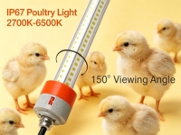 Éclairage LED pour poulailler, tube T8 rouge et blanc, double couleur commutable, 2700K-6500K, lumière à intensité variable