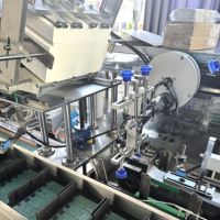 Ligne de machines d'emballage automatique pour poudre à lessiver en boîte, savon, détergent en poudre, carton bleu
