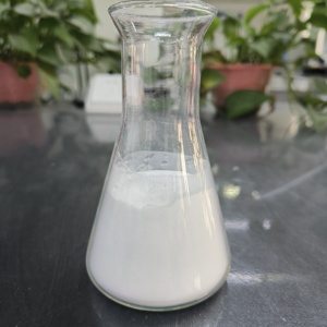 مسحوق مطاطي من أكريلونيتريل والستيرين وساكوبوليمر asa مسحوق ASA ASA T1010 - Product Image 4