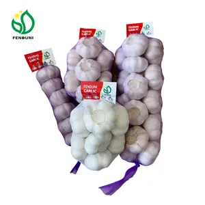 import/export fresh normal white garlic low price 3p/bag, 10kg box 5.5cm