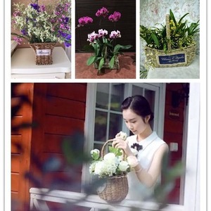 Wicker <b>Flower</b> Baskets Handheld <b>Rectangular</b> Weaved Straw Plant <b>Pots</b> Decorative Gift Basket For Home Garden - Product Image 4