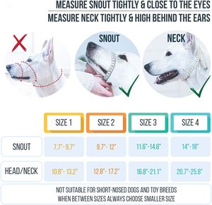 طوق الرأس المطلي بالنايلون على شكل 8، طوق رأس الكلب على شكل لعبة كلب Greyhound مع حزام أمان - Product Image 6