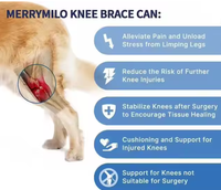 Attelle orthopédique pour le genou du chien, soutien ACL, manchon de récupération pour la patte de l'animal, réduit la douleur articulaire