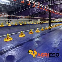 Système d'alimentation automatique par plaques pour élevages avicoles commerciaux