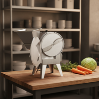 Elektrische Groentesnijmachine Shredder Snijmachine Fruitchips Blokjes Snijmachine