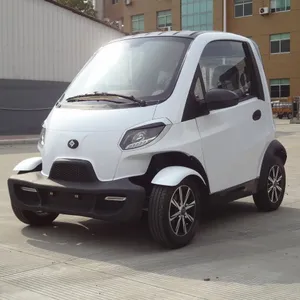 EEC/COC/E-mark approved electric mini car four wheel for adult already sold in Europe