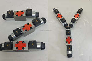 Válvulas de Control Direccional <span class=keywords><strong>Argo</strong></span> Hytos Rpe Rpe3 Rpe4 Rpe4-103h11/01200e1 489-0014  Rpe4-103y11/01200e1 489-0011 - Product Image 3