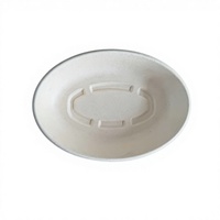 Assiette jetable ovale en pulpe de canne à sucre TEANHE, motif végétal, vaisselle de camping, contenants alimentaires