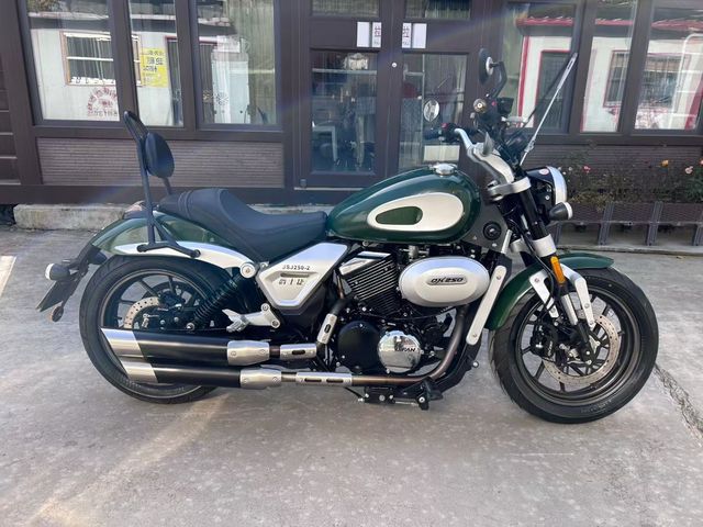 Used Motorcycles RUNTEMA DX 250 EFI V-twin 250CC Streetbikes with Front & Rear ABS Second-hand Motorcycles
