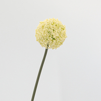 Großhandel Künstliche Chinesische Laternenblumen-Kugeln Allium-Blumen für Heimdekoration Festdekoration und Blumenarrangements