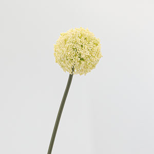 Boules de fleurs artificielles en gros, lanternes chinoises, fleurs d'<span class=keywords><strong>allium</strong></span> pour la décoration intérieure, la décoration de festivals et les arrangements floraux - Product Image 4