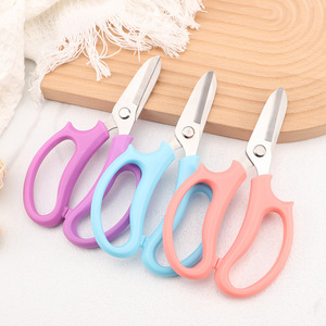 Petites cisailles de jardinage en acier inoxydable à lame dentelée, manche en plastique, coupe-plantes manuel, fournisseur de ciseaux de jardin - Product Image 2