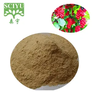 Sciyu fornisce polvere di estratto di frutta di bacche di schisandra chinensis