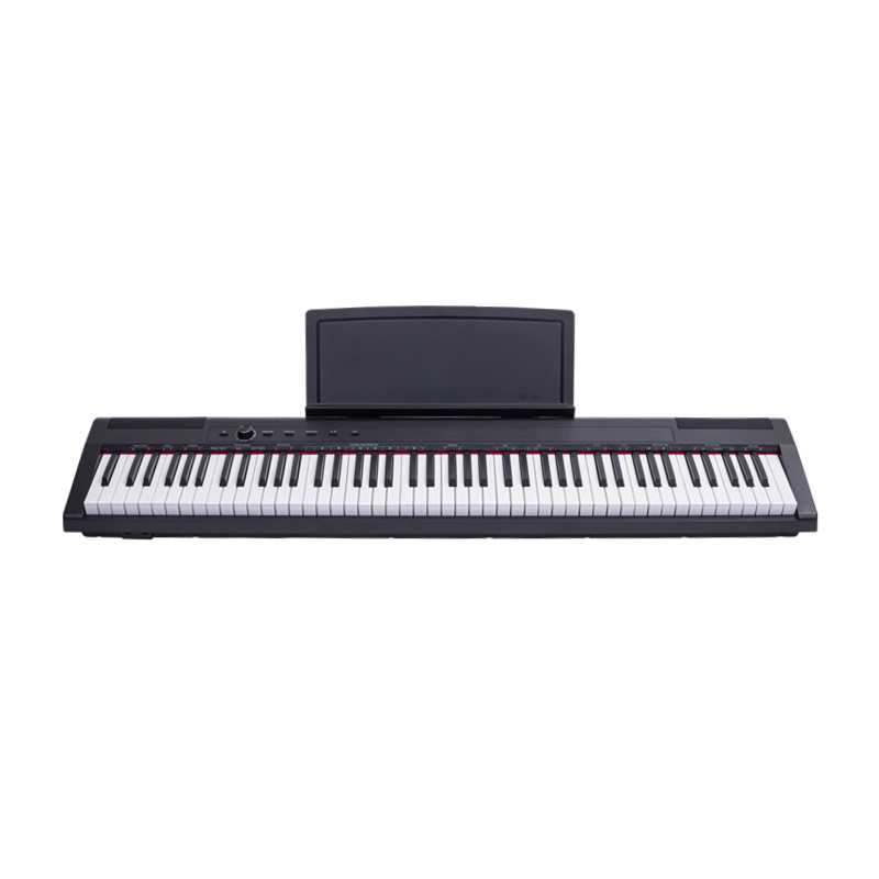 S 213 Portable Digital Piano with