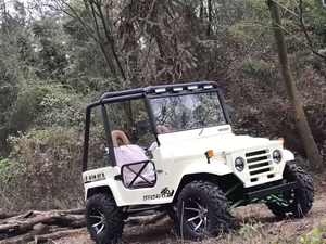 Jeep Automático para Adultos en Venta, 4 Asientos, Mini Jeep Buggy, Apariencia Personalizada, 350CC - Product Image 4