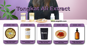 Extracto de Tongkat Ali Premium 100:1 y 200:1 en polvo-<span class=keywords><strong>Eurycoma</strong></span> <span class=keywords><strong>Longifolia</strong></span> natural para soporte de vitalidad - Product Image 3