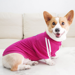 Sudadera deportiva para perros, color rojo rosa y azul, ropa para mascotas para todas las estaciones, para perros pequeños como Corgis y Bichons - Product Image 3