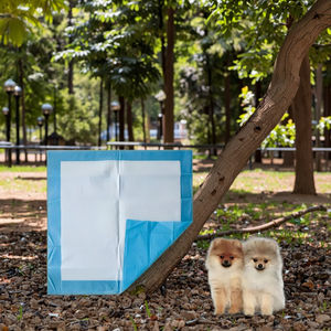 Almohadillas de entrenamiento para perros y cachorros de carbono con control de olores de 6 capas, 60x60cm, para mascotas, almohadilla para orinar de carbón, almohadillas desechables para perros Wee - Product Image 1