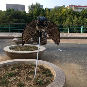 Meilleure Vente : Effaroucheur d'Oiseaux en Plastique 3D, Fausse Guêpe de <span class=keywords><strong>Chouette</strong></span> pour Jardin, Cour et Décoration de Maison - Product Image 4