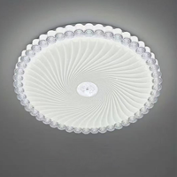 Plafonnier LED ultra-mince en acrylique à design floral moderne, intensité variable, en fer, pour chambre et salon (vente en gros)