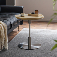 Table basse moderne Botai Moonlit, design nordique, base en acier inoxydable, plateau en placage de bois, imperméable, résistante aux taches, petite table de salon