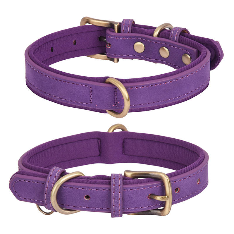 Double d ring: purple