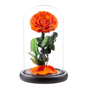 Fournisseur direct d'usine, roses éternelles faites à <span class=keywords><strong>la</strong></span> main, très demandées, pour <span class=keywords><strong>la</strong></span> Saint-Valentin, <span class=keywords><strong>la</strong></span> fête des mères, le Nouvel An, dans un dôme en verre - Product Image 5