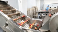 Volledig automatische productielijn voor appel-, peer- en guavensap, inclusief sapcentrifuge, industriële fruitverwerkingslijn, turn-key.