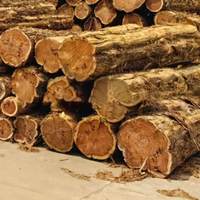 Vente en gros de planches de bois massif en cyprès rouge, grain de bois clair, résistantes à la corrosion, avec 15 % d'humidité, pour cigares longs