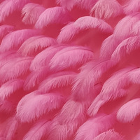 Plumes d'autruche rose clair teinte, 50-55cm, de haute qualité, unités