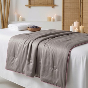 Lightweight Breathable Cooling <b>Bed</b> Comforter Silver Grey Washable Summer Blanket For High End Hotel And Resort Rooms - Product Image 1