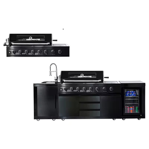 Cucina Da Esterno Barbecue à gaz Nero Ss304 Da Campeggio All'aperto, Cucina Da Esterno Con Frigorifero - Product Image 1