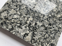 BOTON STONE Carreaux de granit bleu Labradorite chinoise Fabricant de comptoir Dalles de granit à bas prix Pierre naturelle