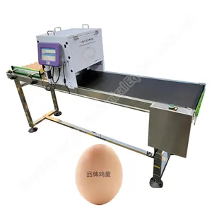Mesin pengkode pembuatan telur tanggal kedaluwarsa printer untuk teknologi telur pemasok emas pencetak inkjet telur