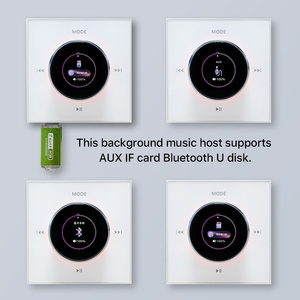 25W Mini Aan De Muur Gemonteerde <span class=keywords><strong>Bluetooth</strong></span> Audio Versterker 4 Inch Achtergrond Muziek Host Touchscreen Usb Sd Poort Knop Volumeregeling Home - Product Image 3