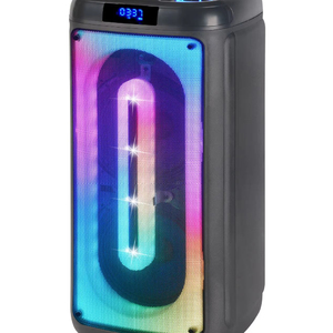 Ningda thiết bị điện tử của nhà máy Đôi 8-inch âm thanh cho Bluetooth RGB xách tay đầy màu sắc ngọn lửa cho bên ngoài trời sử dụng nhà đóng hộp DC - Product Image 1