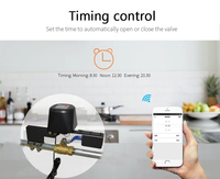 Contrôleur intelligent de sécurité domestique étanche avec commande vocale et application pour la coupure d'eau et de gaz, avec minuterie pour cuisine, jardin et ferme