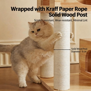Torre <span class=keywords><strong>de</strong></span> Madera <span class=keywords><strong>de</strong></span> Lujo para Gatos con Cápsula Espacial y Logotipo Personalizado, Muebles Modernos para Gatos <span class=keywords><strong>de</strong></span> Varios Niveles, Venta al Por Mayor OEM - Product Image 3