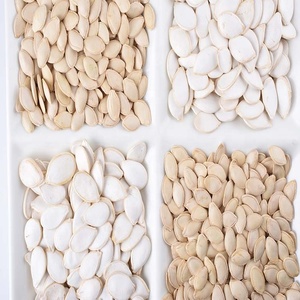 Fresh Lady nail Pumpkin Seeds Alta calidad Snacks Raw 20/25Kg PP Bag - Product Image 6