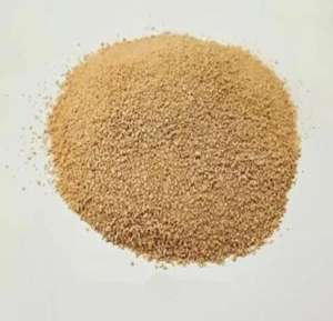 Aditif lisin yang terjangkau dapat mendorong pertumbuhan sehat pada unggas - Product Image 4