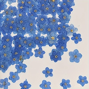Eco Friendly DIY azul púrpura prensado Forget Me Not <span class=keywords><strong>para</strong></span> decoración de boda arte de resina suministros <span class=keywords><strong>para</strong></span> manualidades Tarjeta de nota escrita a mano - Product Image 1