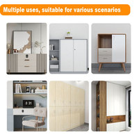 GRATEAIEN AEGC07 Serrure de meuble à empreinte digitale avec clé mécanique U, PC ABS, Alimentation d'urgence Type C