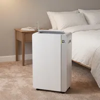 Deshumidificador de Aire Doméstico de 10L-12L/día, Deshumidificador Portátil OEM con Funciones Inteligentes