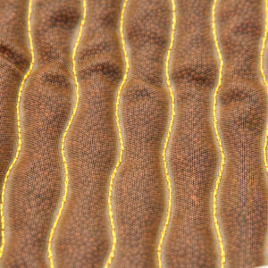 Rodillera de Cerámica de Arcilla con Iones Negativos, Alfombrilla de Cerámica de Turmalina Nano, Rodillera Coreana de Piedra de Turmalina con Calefacción - Product Image 6