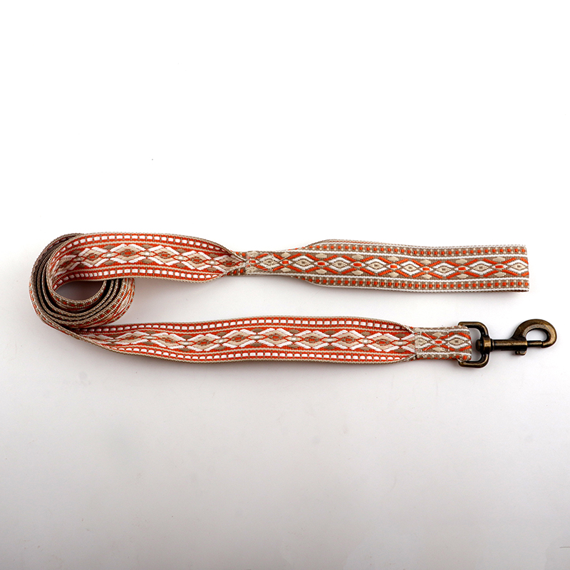 Leash 1