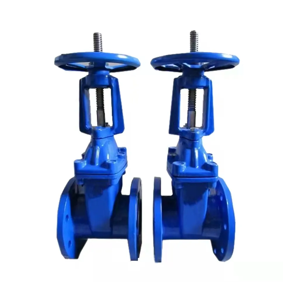 Surface Treatment Akzo Nobel Fusion Bonded DN50-600 Standard resilient gate valve with factory price