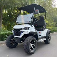 Club 2 4 6 places personnalisé confortable 4 places voiturettes de golf électriques 72v Lithium chinois voiturette de golf électrique voiture vente EEC Buggy